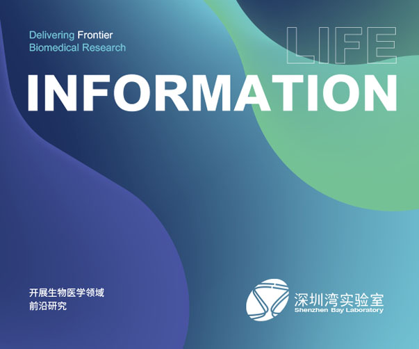 CHERRYBANG 品牌的視覺識別設計（品牌vi設計)